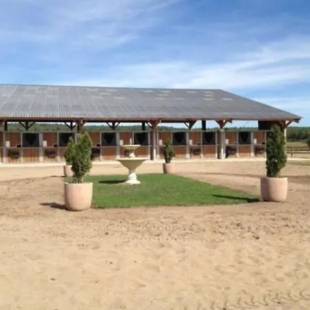 Gite Au Coeur D'Une Propriete Equestre Brain-sur-Allonnes Exterior photo